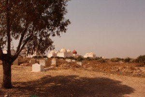 Mouhammed El Bahloul, Maitre de Alalwa
