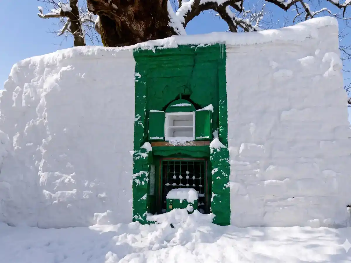 Mur blanc et vert du sanctuaire de Moulay Abdeslam Ben Mchich avec un tronc d'arbre centenaire à l'arrière-plan.